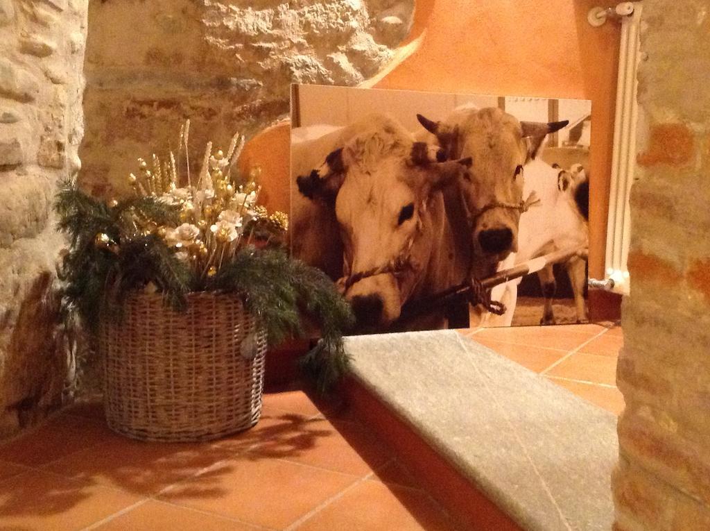 Carrù Hotel Palazzo Di Mezzo מראה חיצוני תמונה